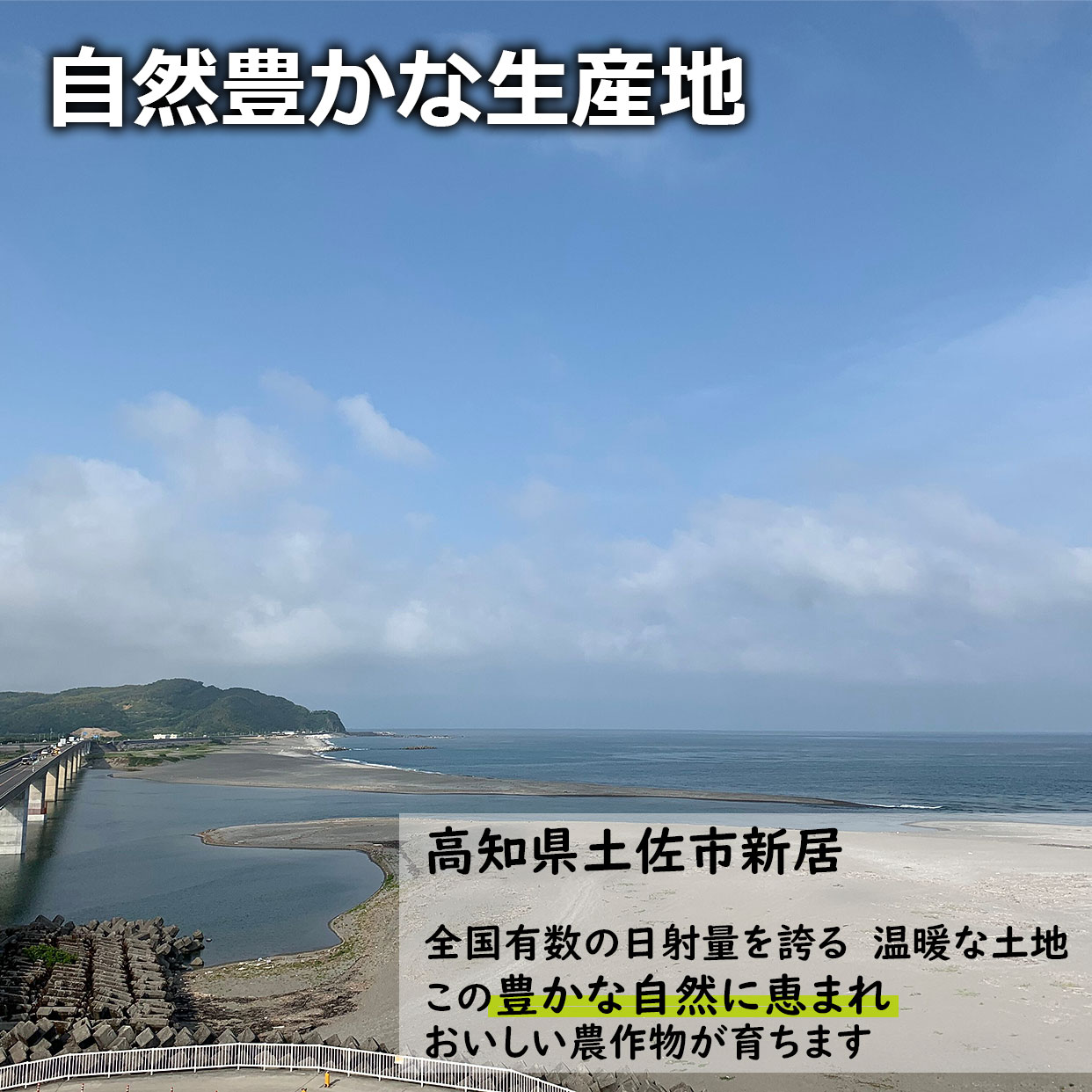 自然豊かな産地