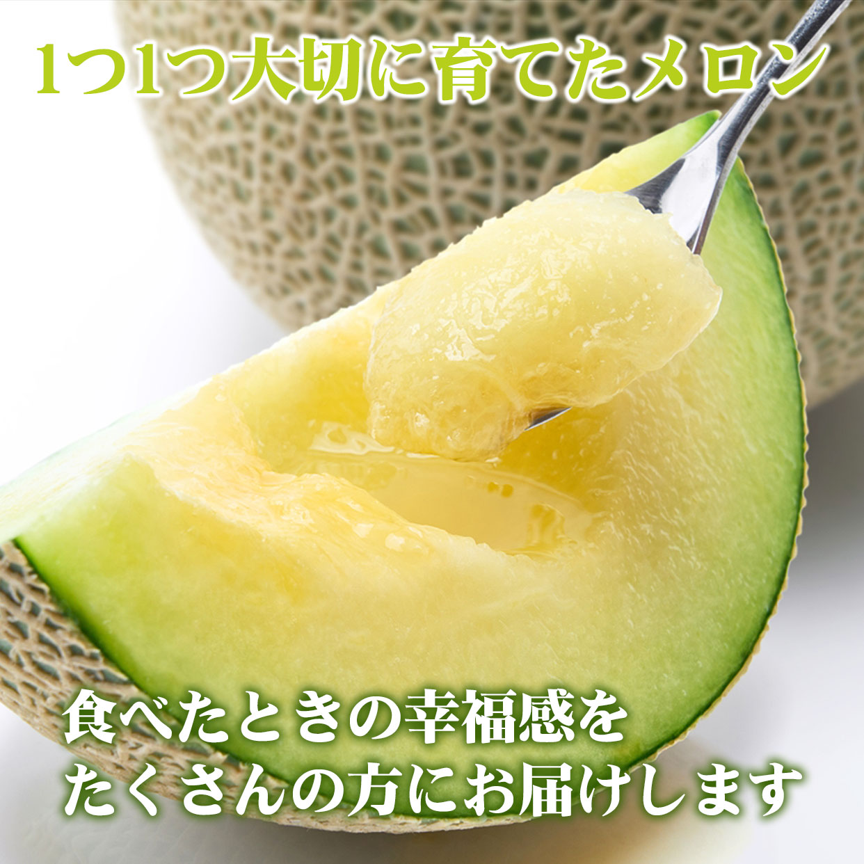 大切に育てたメロン