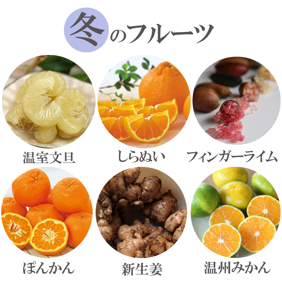 冬のフルーツ