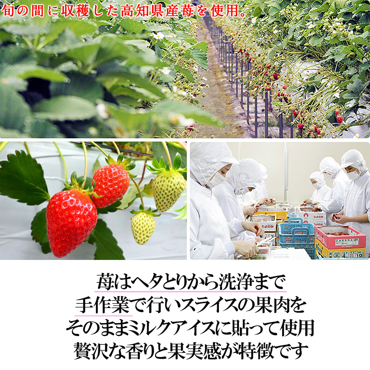 いちご手作業