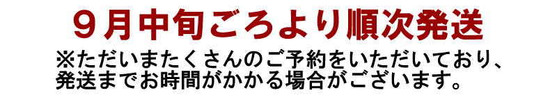 防腐剤不使用の白木果樹園産の国産ライム