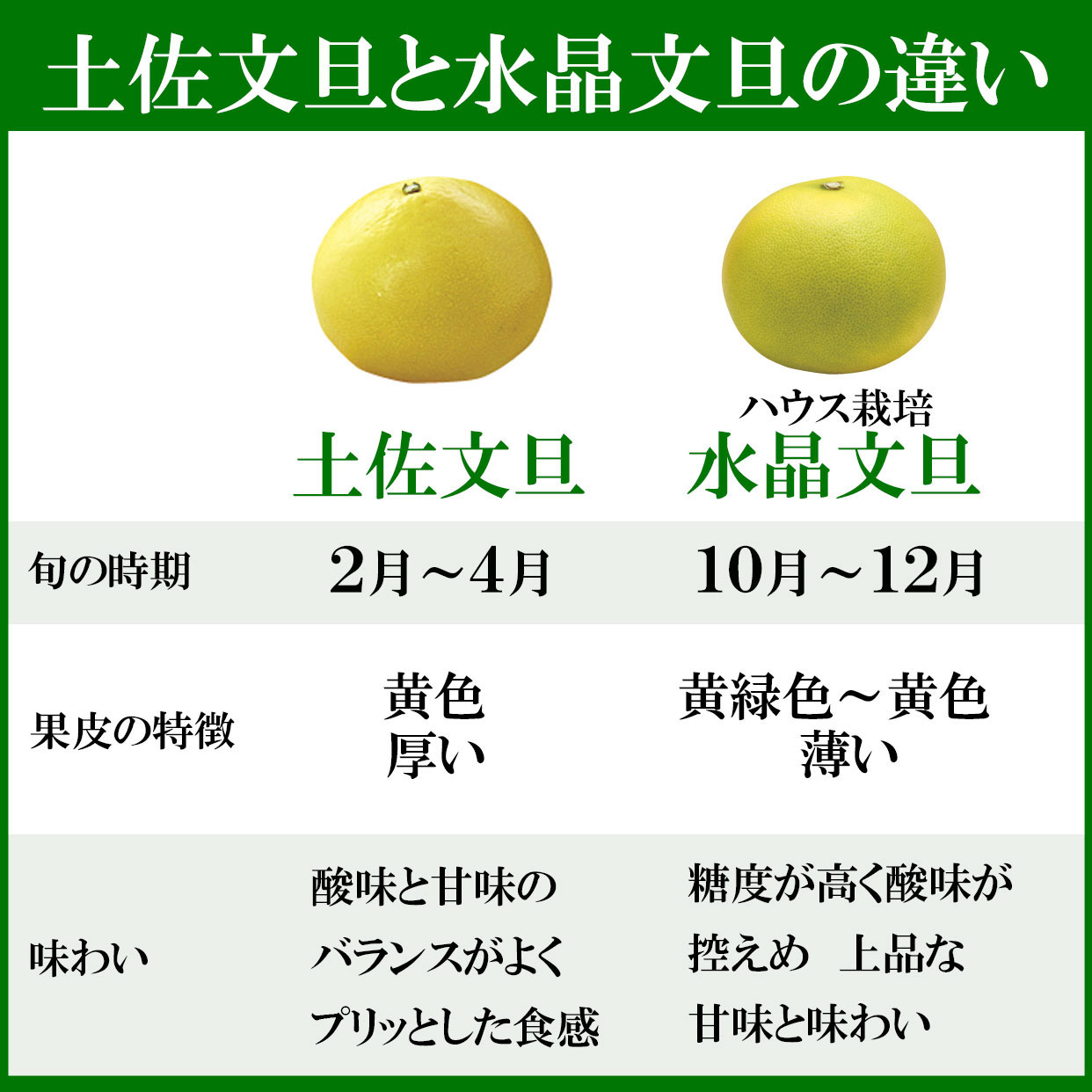 水晶文旦と土佐文旦の違い