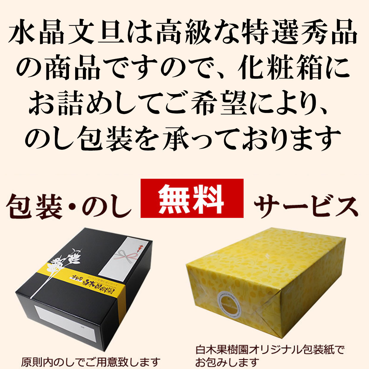 のし・包装