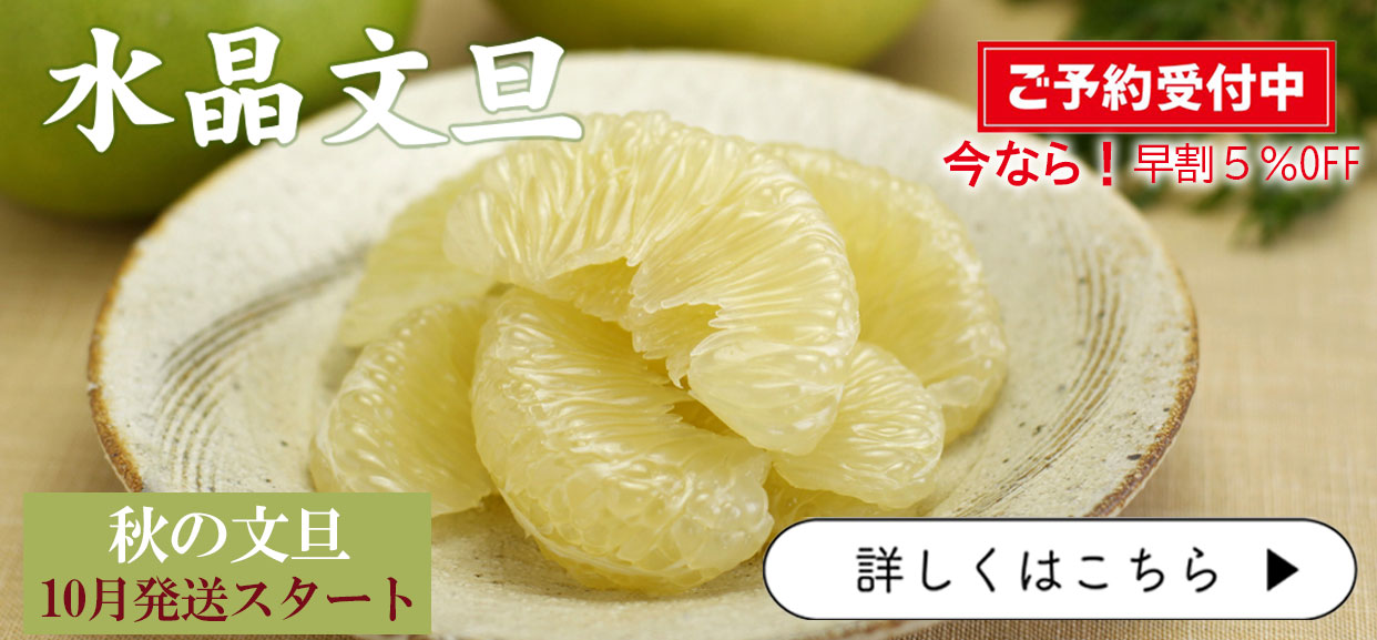 文旦屋・白木果樹園 Yahoo!店 - Yahoo!ショッピング