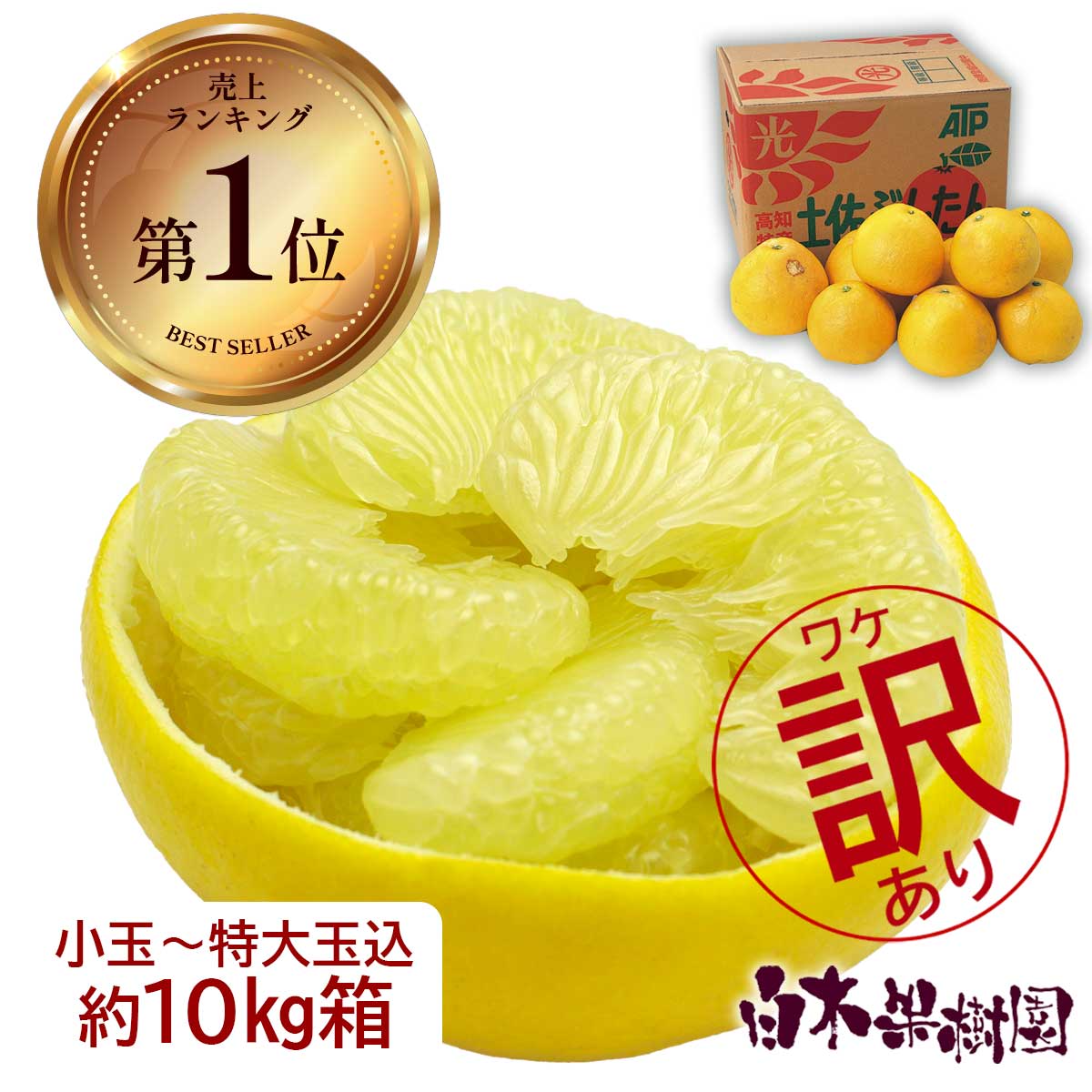 土佐文旦 10キロ L〜Mサイズ (家庭用) ×2箱 高知産 土佐文旦 袋入り 2Lサイズ 約10kg 訳あり品 全国の離島は