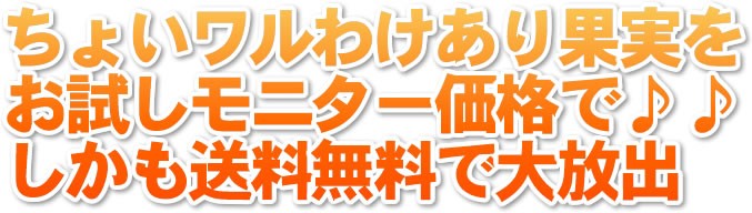 有田みかん・ちょいワル