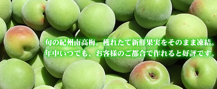 2025年産 [新物] 冷凍青梅(生梅) 品種＝南高梅 500g(紀州和歌山