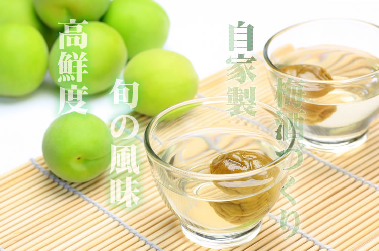 2025年産 [新物] 冷凍青梅(生梅) 品種＝南高梅 500g(紀州和歌山