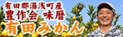 豊作会の有田みかん