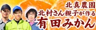 北真農園北村さん親子が作る有田みかん
