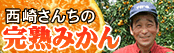 西崎農園の有田みかん