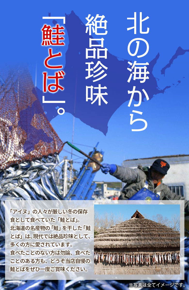 おつまみ 鮭とば【北海道産.熟成鮭とば100g.】さけとば 鮭トバ 珍味 訳