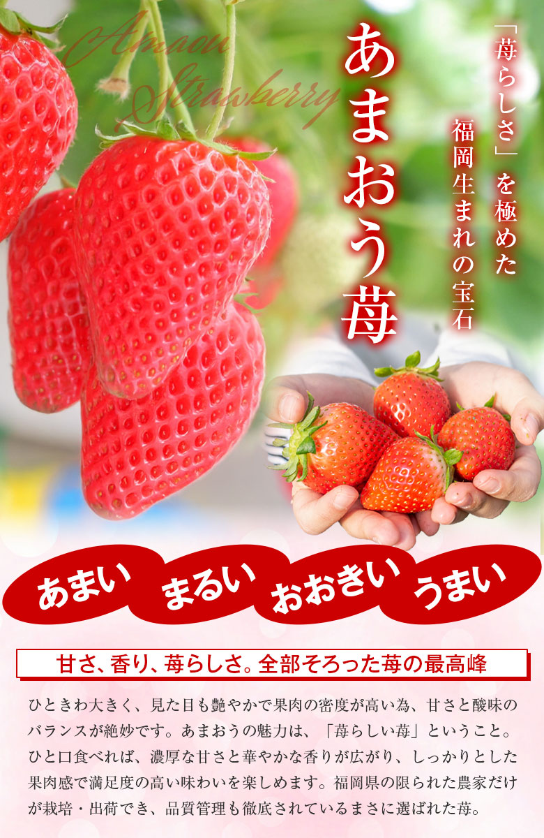 ギフト プレゼント ゼリー 【夕張メロン・福岡あまおう苺・長野