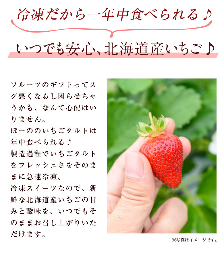 いちごけーき　北海道のおいしい野菜セット(^○^) 楽天市場】お中元 御中元 夏 ギフト スイーツ お菓子 ケーキ