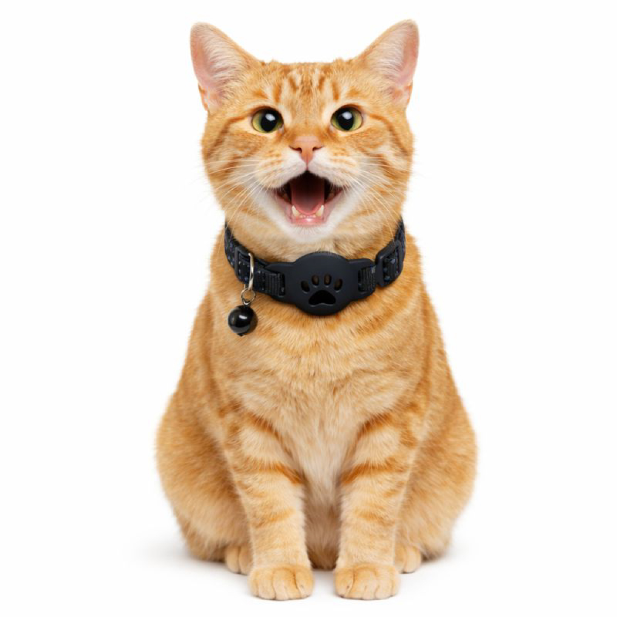 猫用首輪（色：ブラック系）｜首輪、ハーネス、迷子札｜猫用品｜ペット