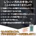 【スリムタイプ新登場!】 ウタマロ石鹸ケース ウタマロ石鹸 ウタマロ ケース スリム 縦 石鹸ケース ブラシ付き ブラシ付き石鹸ケース 持ち運び ブラシ ウタマロ 関連画像1