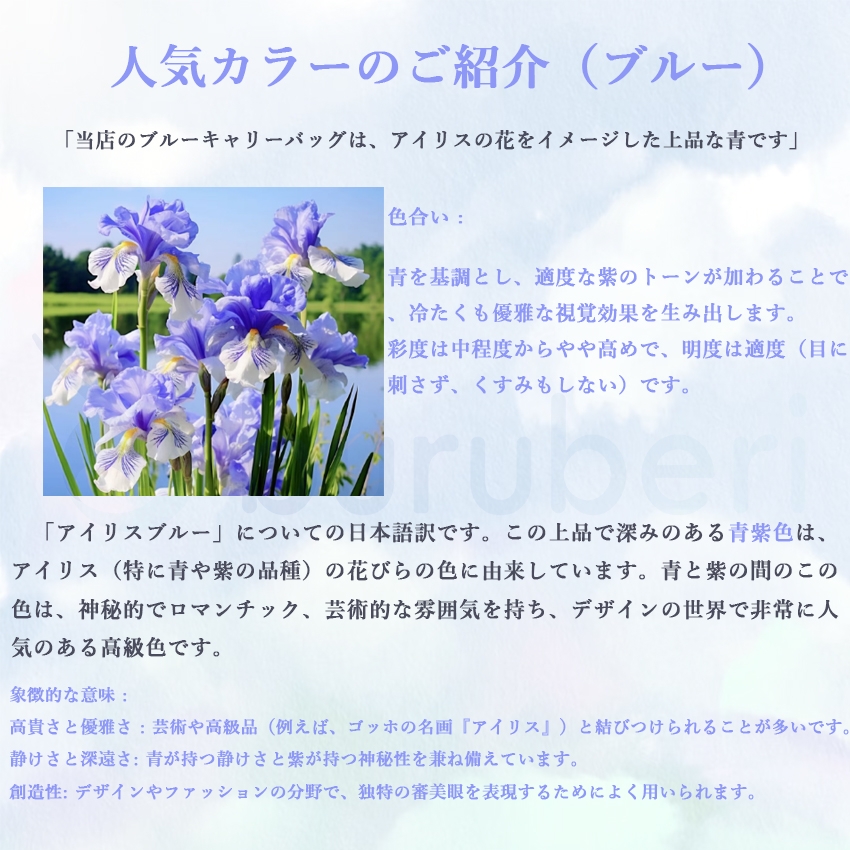 乗れるキャリーケースの商品詳細18