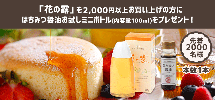 アカシアはちみつ 花の露 2400g 蜂蜜 ホットケーキ ヨーグルト 料理