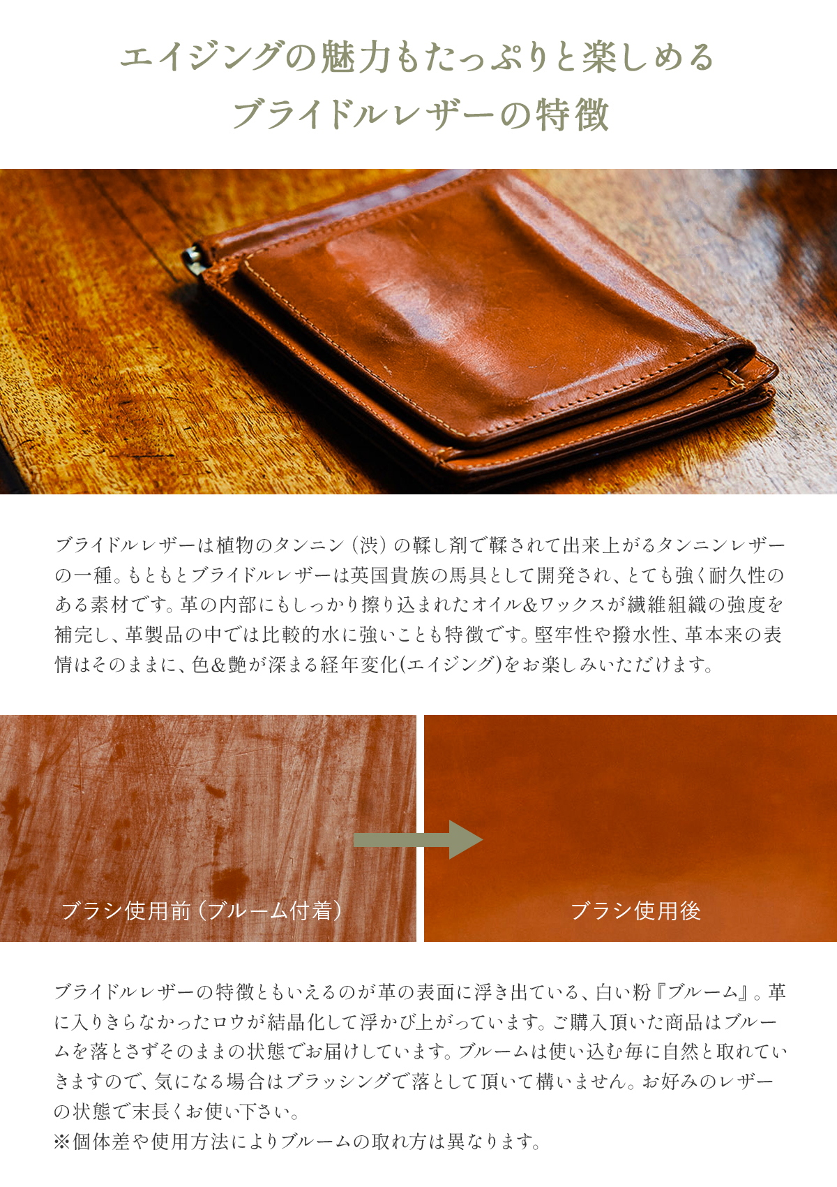 GLENROYAL（グレンロイヤル） 財布 マネークリップ 小銭入れ付き