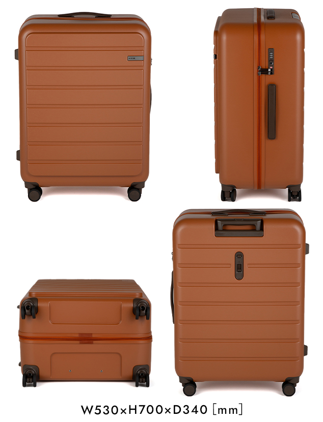 Ace（エース） フレットボード スーツケース 100L Lサイズ XL 受託無料