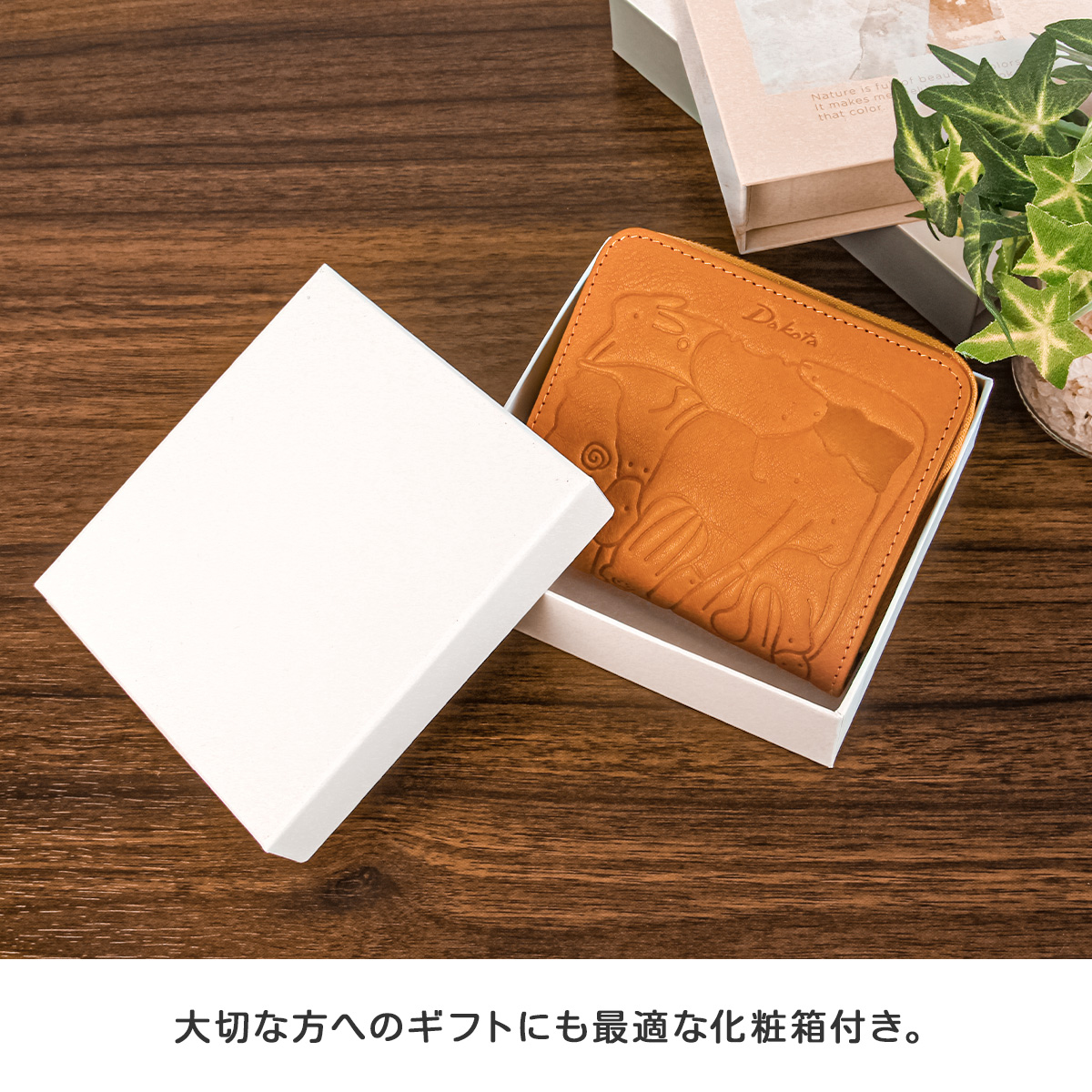 Dakota（ダコタ） 二つ折り財布 レディース ブランド レザー 本革 軽量