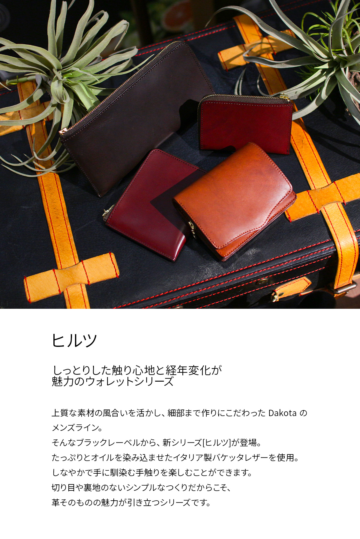 Dakota BLACK LABEL ダコタ ブラックレーベル ヒルツ 財布 二つ折り