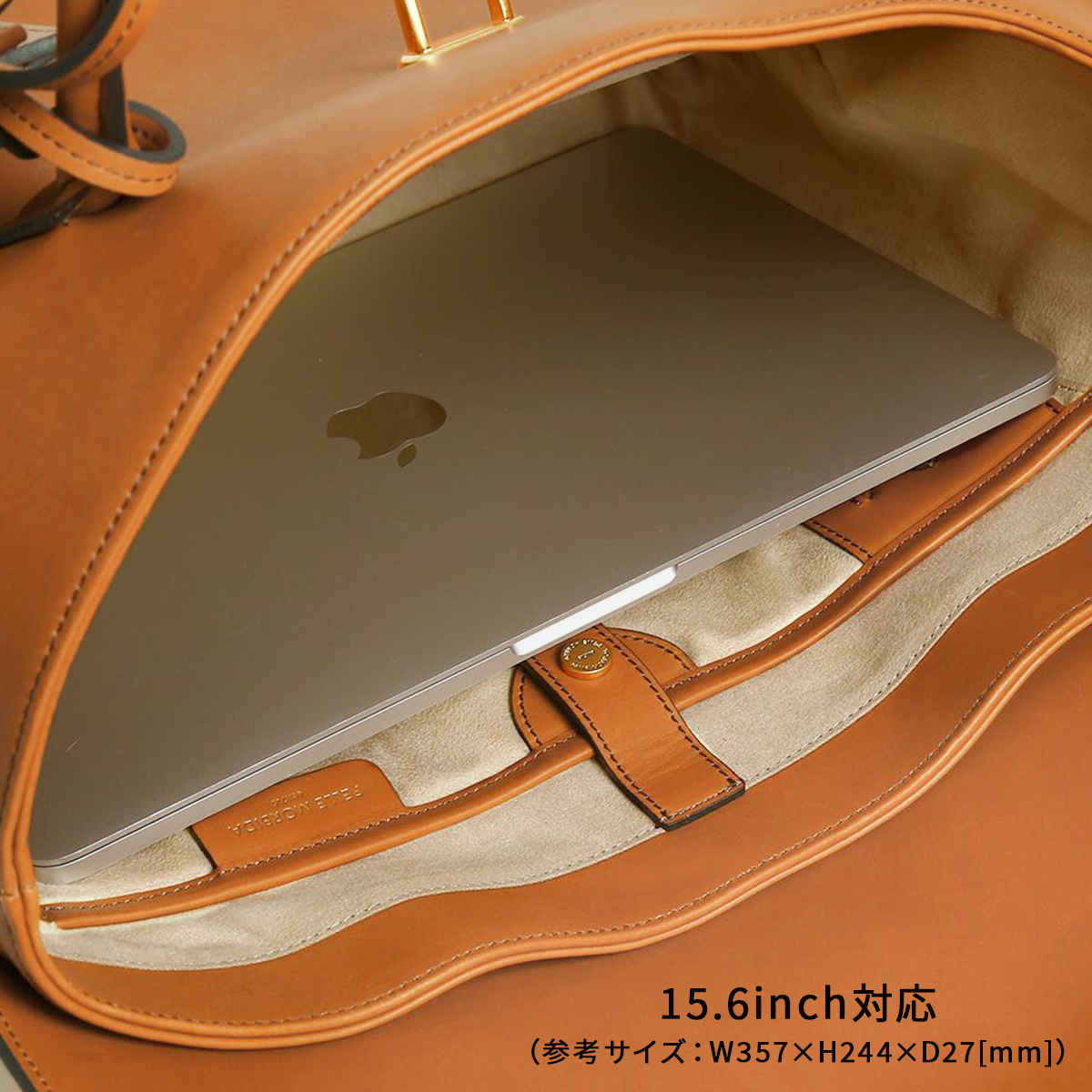 PELLE MORBIDA（ペッレ モルビダ） 限定品｜ペッレモルビダ