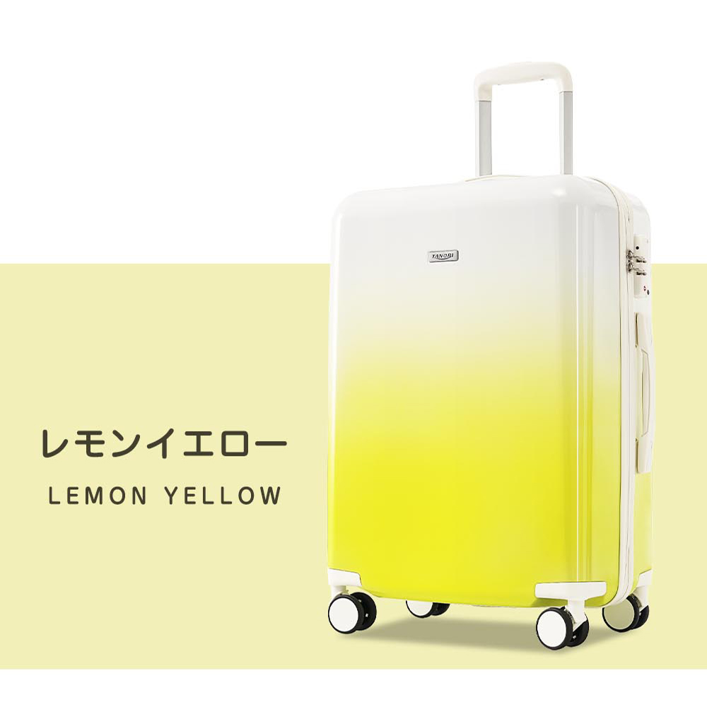 限定価格4,980円】スーツケース 機内持ち込み Sサイズ ストッパー付き 