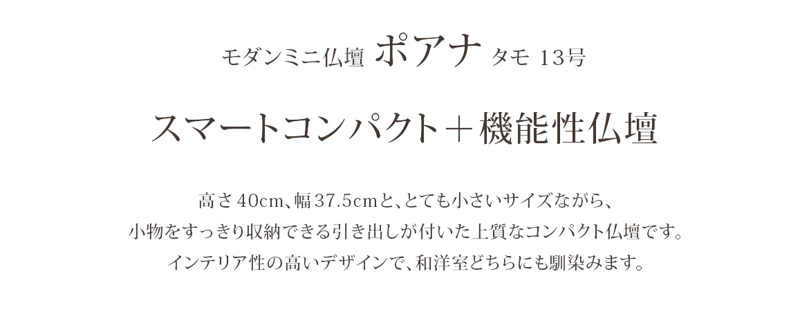 ポアロ タモ 13号