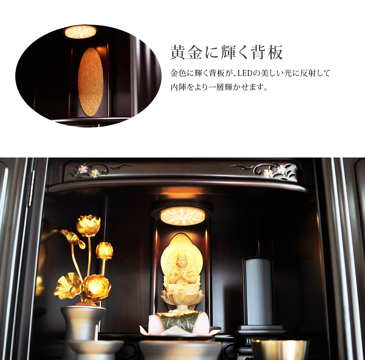 黄金に輝く背板