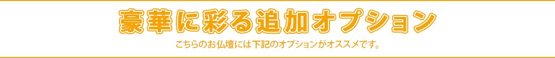 豪華に彩る追加オプション