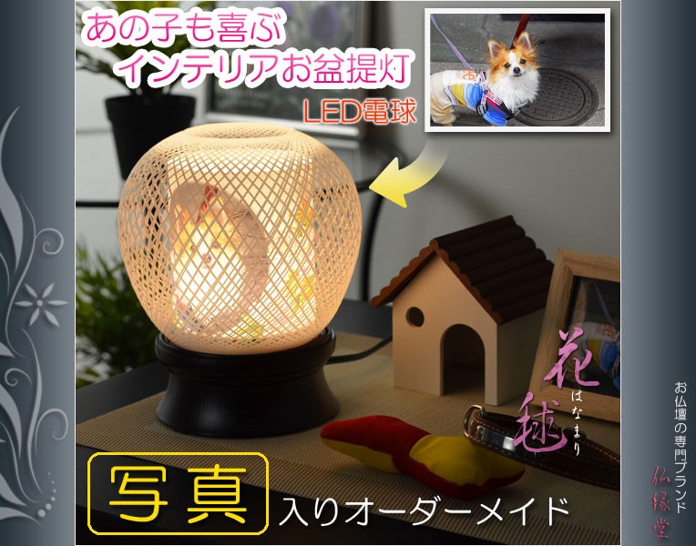 お盆用品【ペット用インテリアお盆提灯：花毬（はなまり）省エネLED電球】ペットメモリアル・新盆・初盆・ペット供養 送料無料