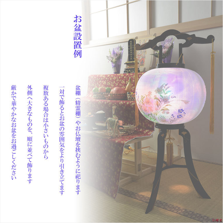 お盆提灯・仏縁堂セレクト【八女提灯:蒔絵入り 一重 桔梗に お盆提灯・仏縁堂セレクト【八女提灯:蒔絵入り 一重 桔梗に