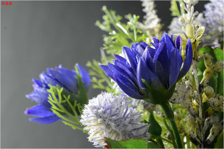 仏花