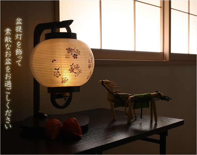 bg-00829-kn-13.jpg