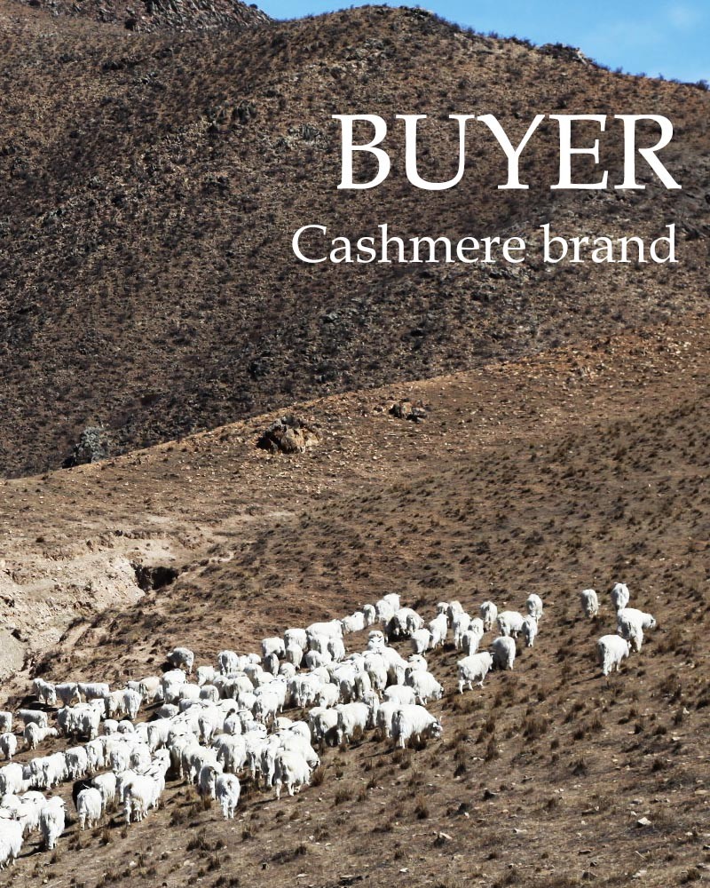 BUYER - Yahoo!ショッピング BUYER - Yahoo!ショッピング