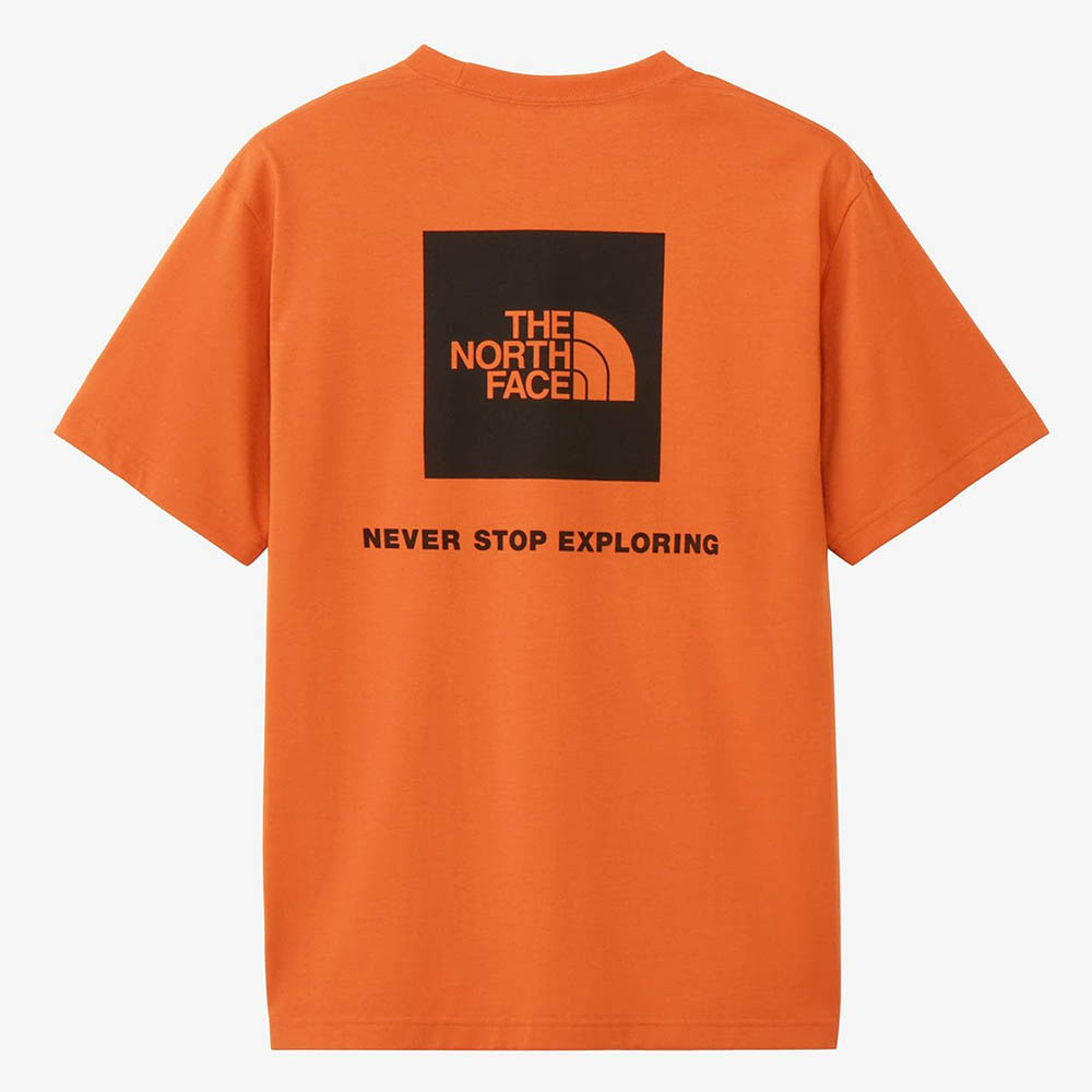 THE NORTH FACE ザ・ノース・フェイス メンズ Tシャツ バック
