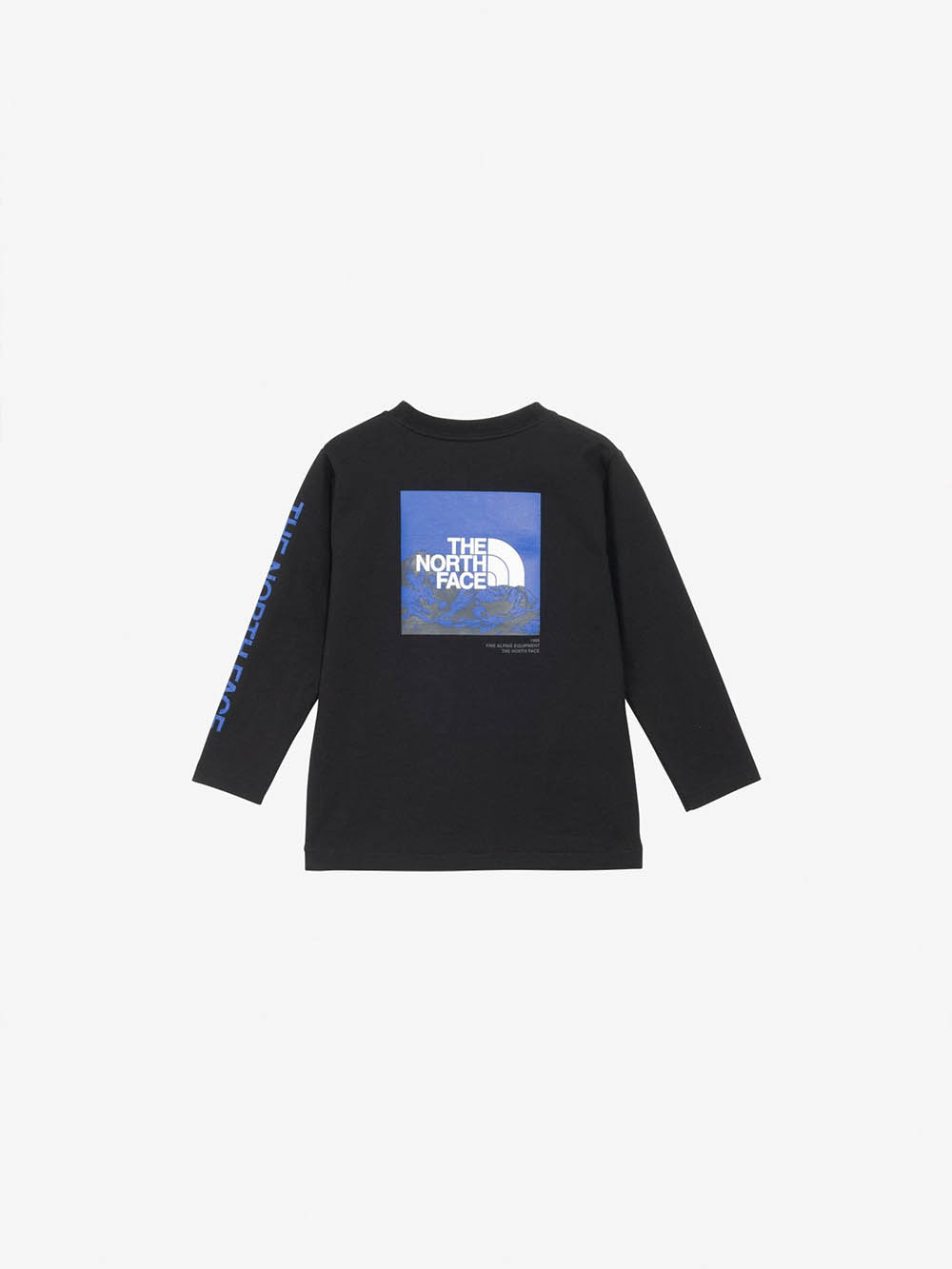 THE NORTH FACE（ザ ノースフェイス） キッズ Tシャツ 120-100cm