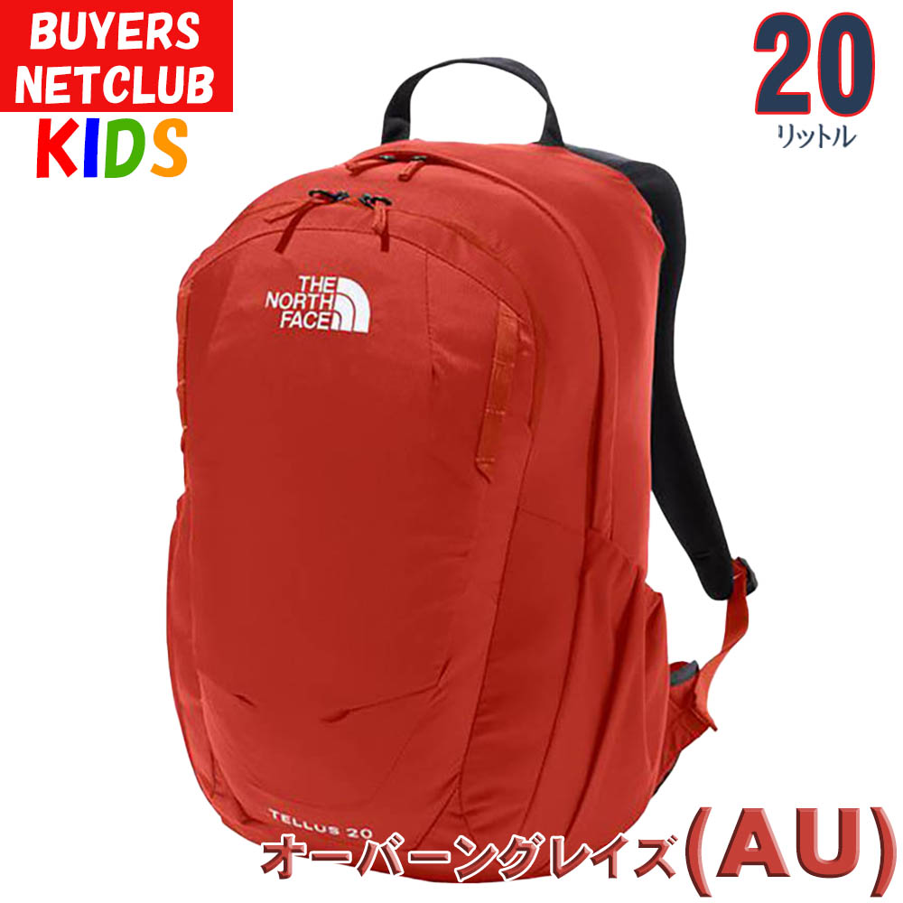 ノースフェイス キッズ リュック 10-12歳 20L テルス 子供用リュック North Face 男の子 女の子 林間学校 修学旅行デイパック 子供用 小学生｜buyersnetclub｜02