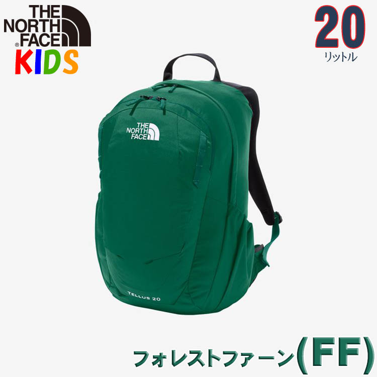 ノースフェイス キッズ リュック 10-12歳 20L テルス 子供用リュック North Face 男の子 女の子 林間学校 修学旅行デイパック 子供用 小学生｜buyersnetclub｜03