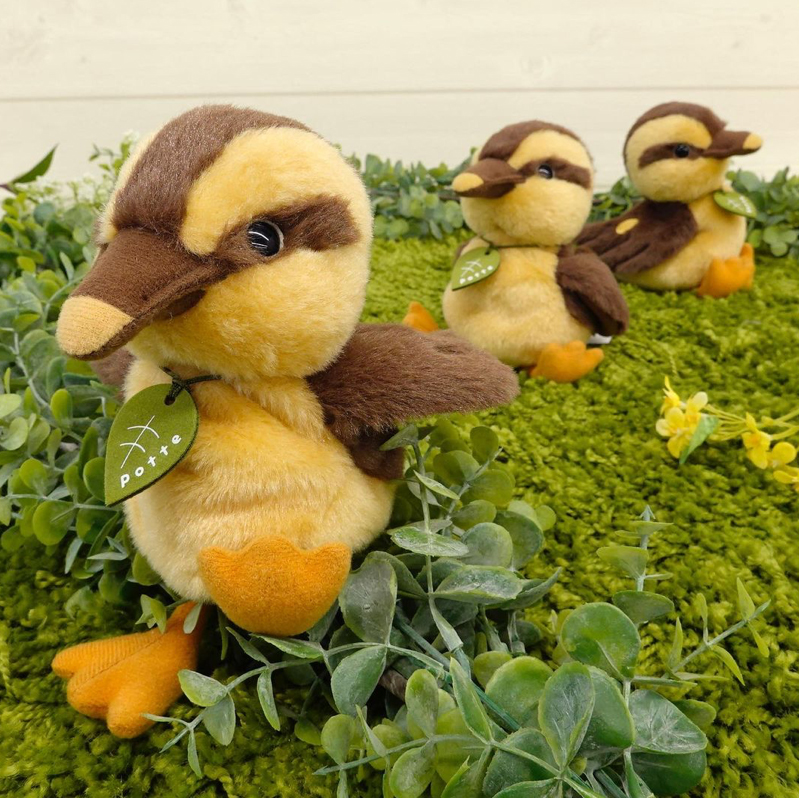 sun arrowサン・アロー　カモ ぬいぐるみ Sun Arrow（サン・アロー） 超SALE POTTE ぬいぐるみ カモのひな 13cm