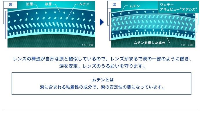 ワンデーアキュビューオアシス