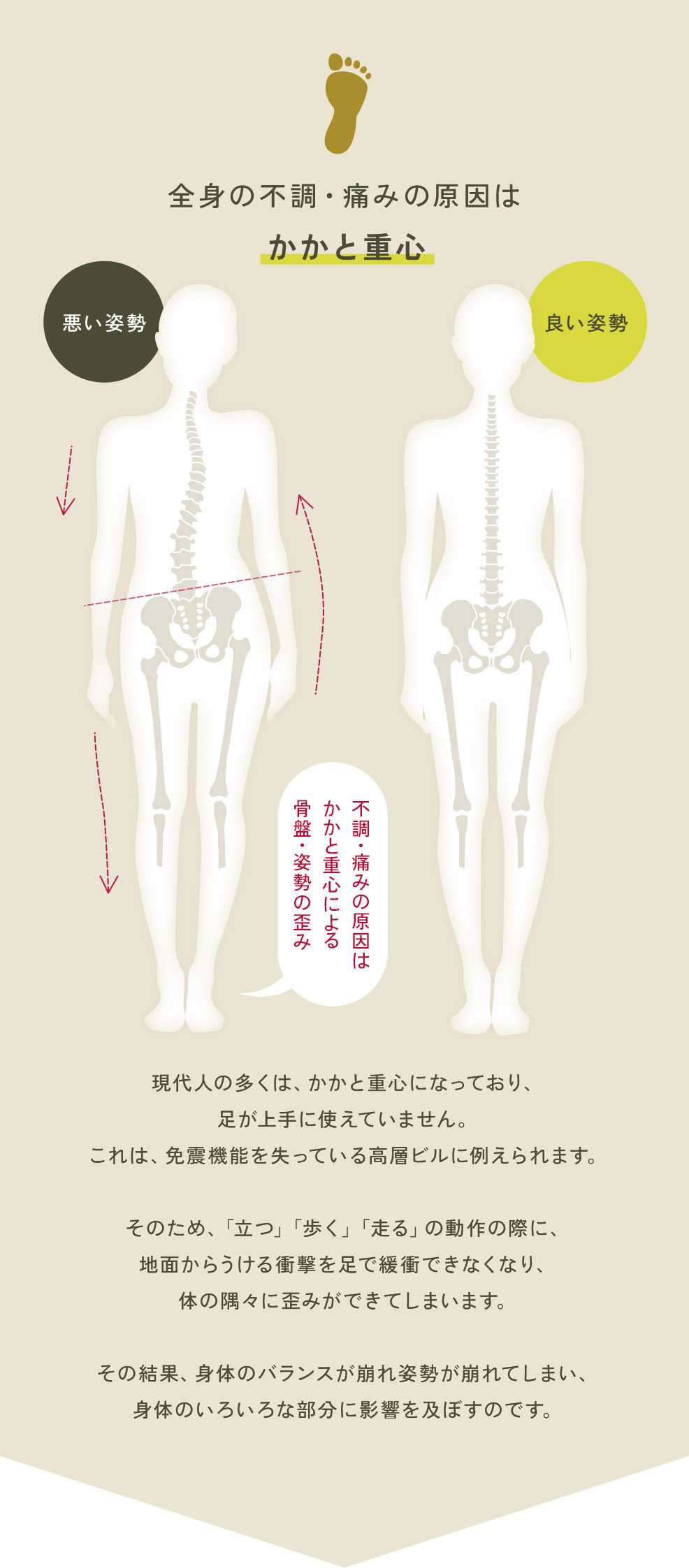 IRERUDAKEインソール (いつもの靴に入れるだけ) 特許技術 中敷き 腰痛