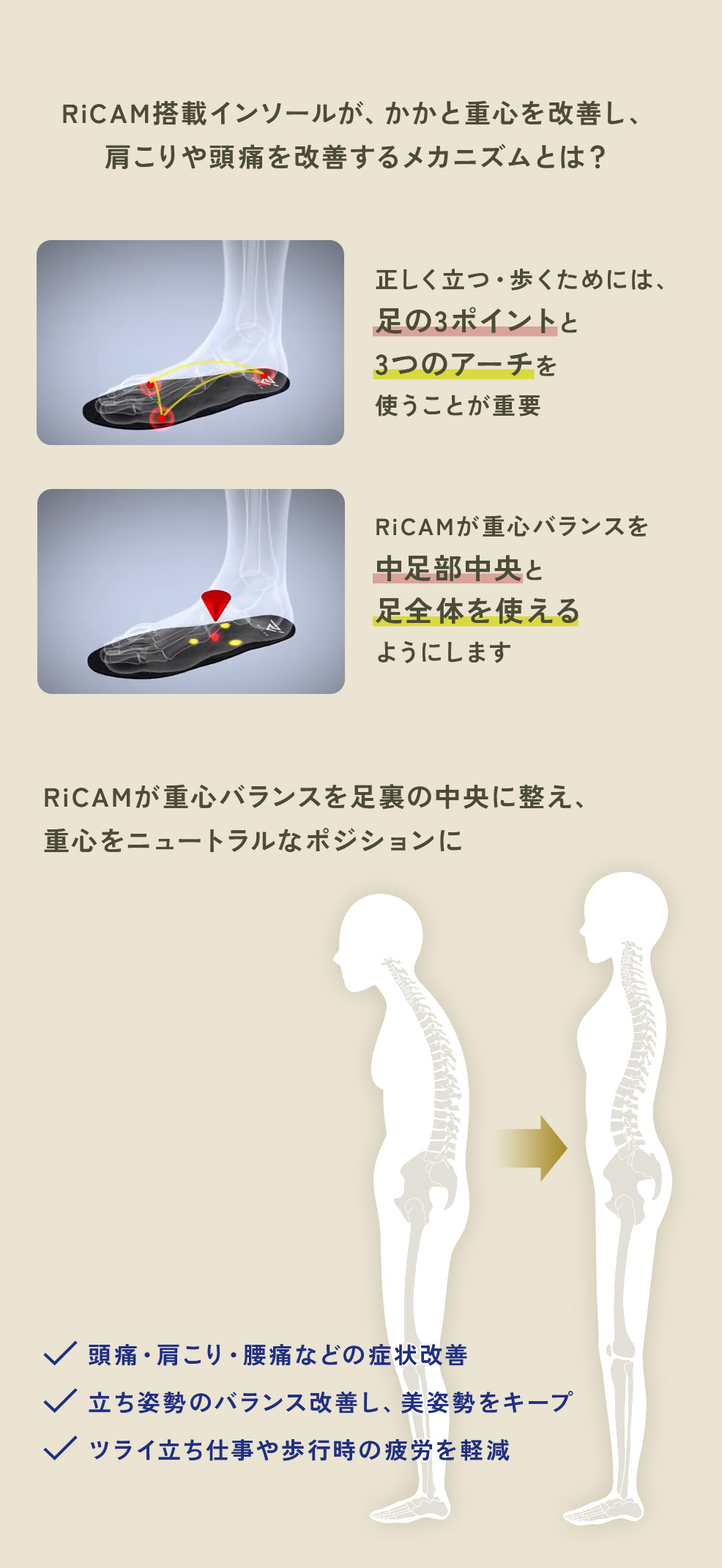 IRERUDAKEインソール (いつもの靴に入れるだけ) 特許技術 中敷き 腰痛