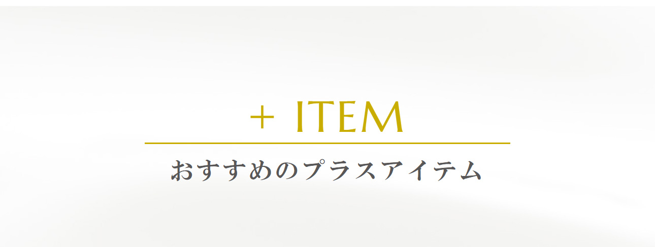 おすすめのプラスアイテム