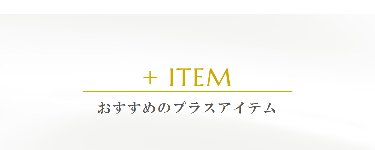 おすすめのプラスアイテム