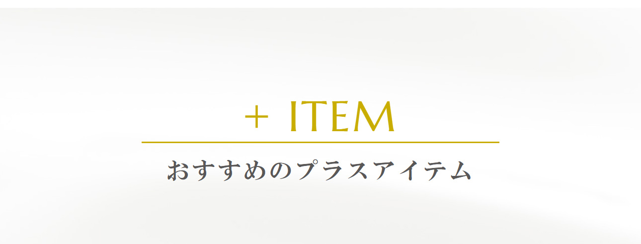 おすすめのプラスアイテム