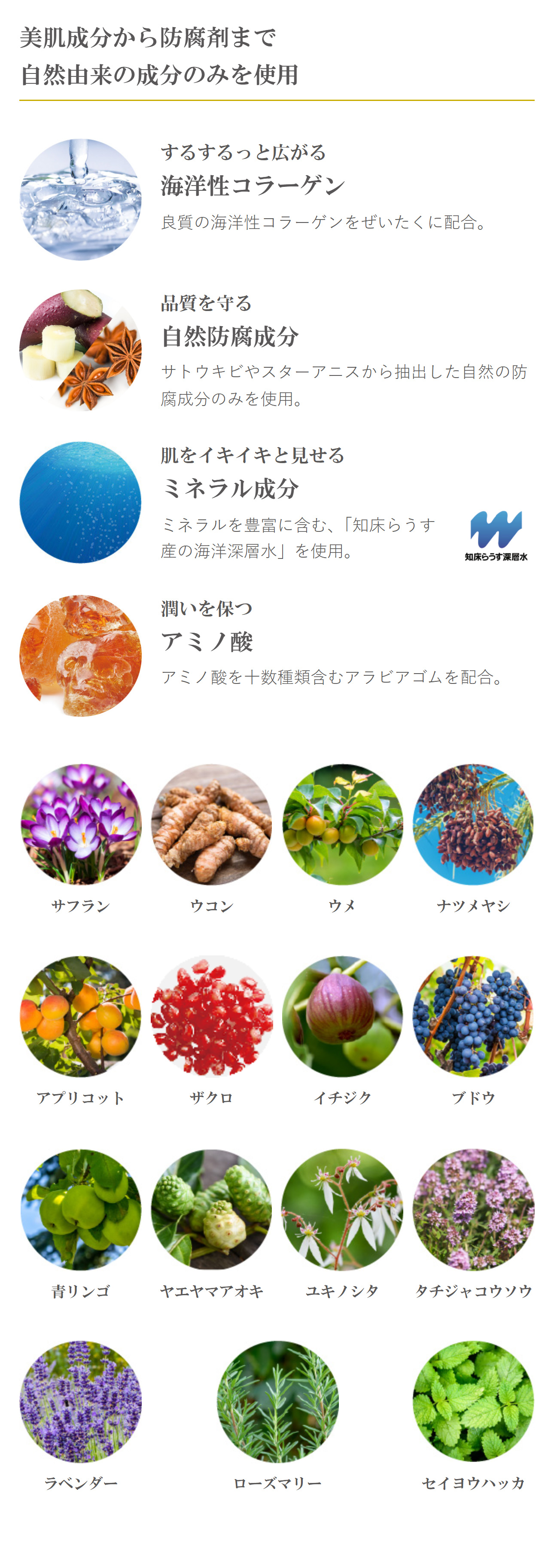 美肌成分から防腐剤まで自然由来の成分のみを使用。海洋性コラーゲン：良質の海洋性コラーゲンをぜいたくに配合。自然防腐成分、品質を守る自然防腐成分：サトウキビやスターアニスから抽出した自然の防腐成分のみを使用。ミネラル成分、肌をイキイキと見せるミネラル成分：ミネラルを豊富に含む、「知床らうす産の海洋深層水」を使用。知床らうす産の海洋深層水。アミノ酸、潤いを保つアミノ酸：アミノ酸を十数種類含むアラビアゴムを配合。サフラン、ウコン、ウメ、ナツメヤシ、アプリコット、ザクロ、イチジク、ブドウ、青リンゴ、ヤエヤマアオキ、ユキノシタ、タチジャコウソウ、ラベンダー、ローズマリー、セイヨウハッカ。