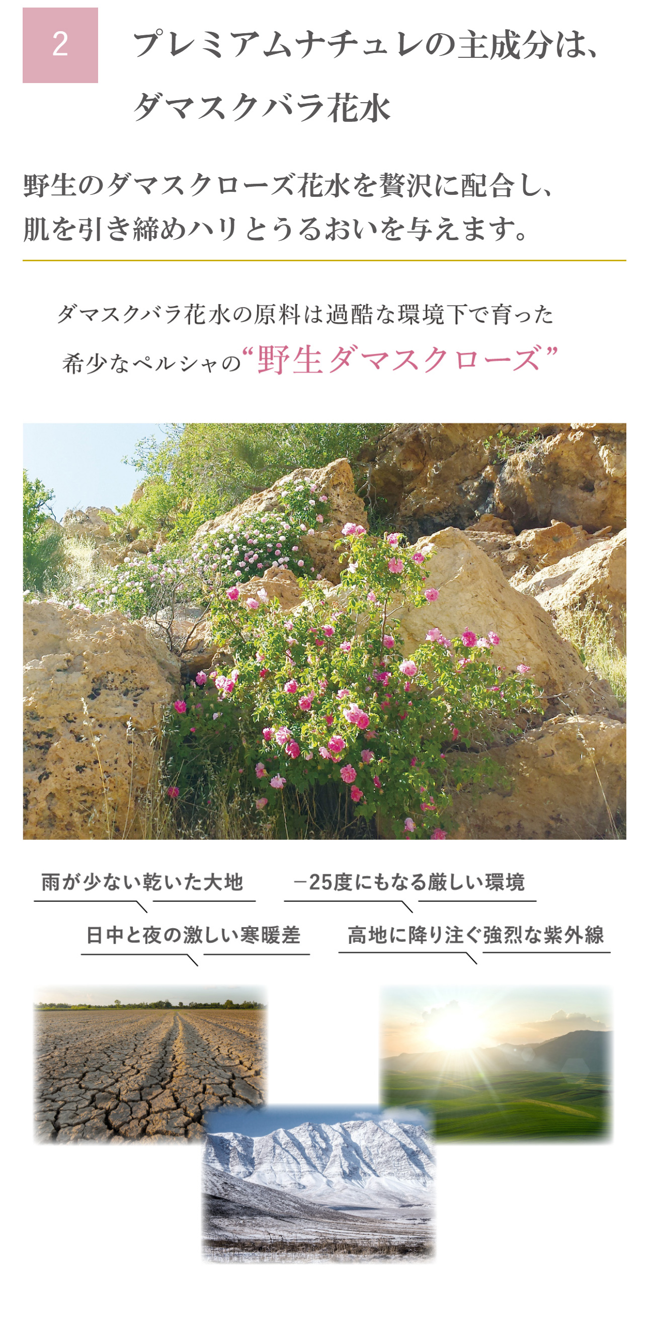 プレミアムナチュレの主成分は、ダマスクバラ花水野生のダマスクローズ花水を贅沢に配合し、肌を引き締めハリとうるおいを与えます。