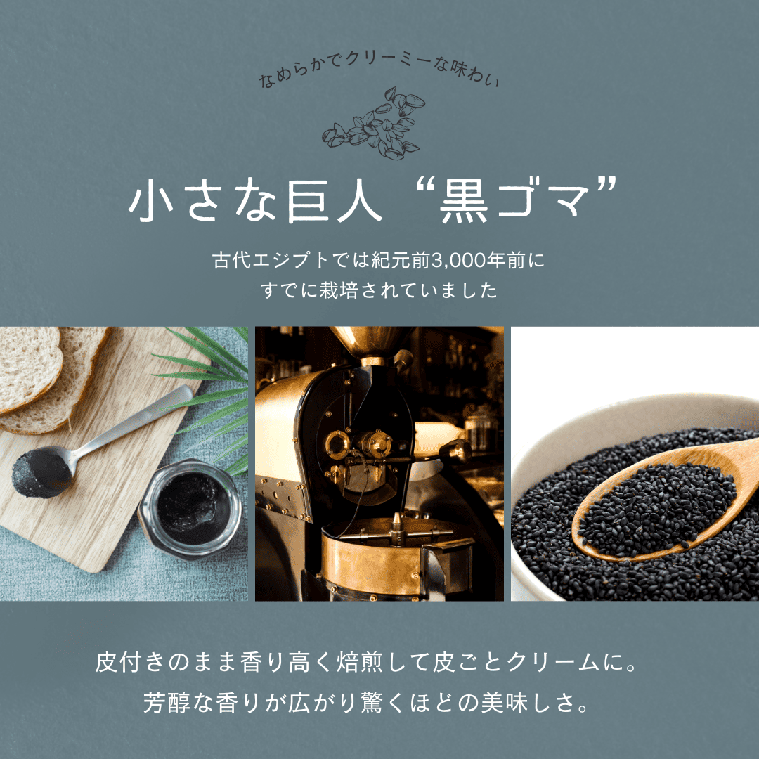三育フーズ 【ヒルナンデス紹介】黒ゴマクリーム 190g x4個 ごま